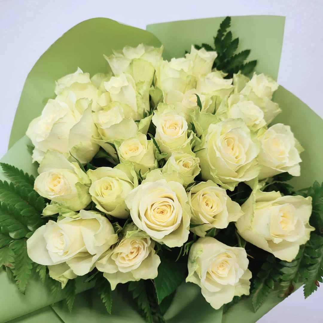 Bouquet Alice: 24 Rose Bianche stelo medio - immagine 3