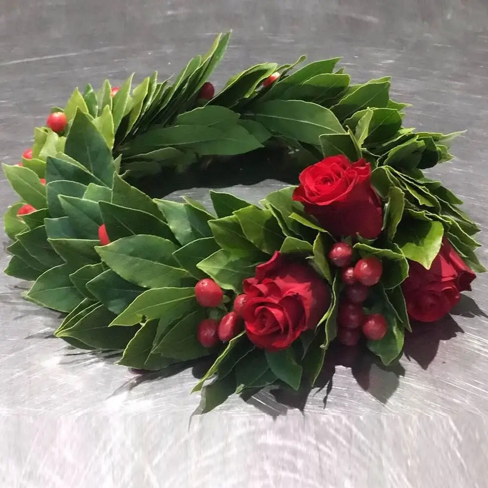 Ricorrenza lauree