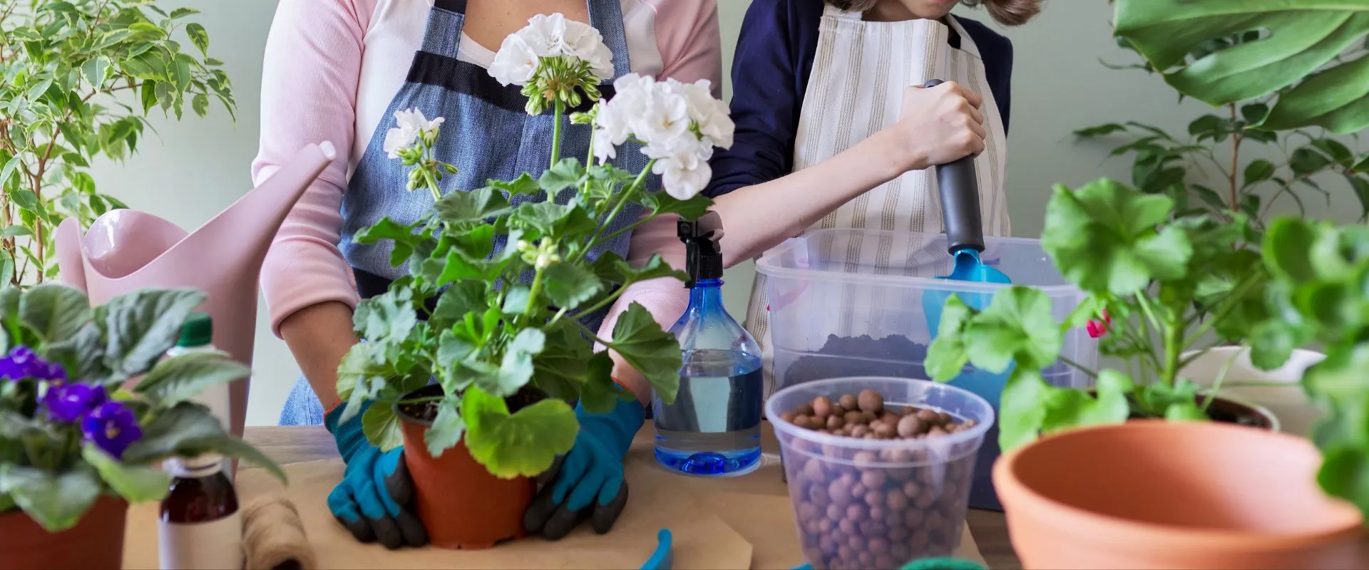 plant a flower day