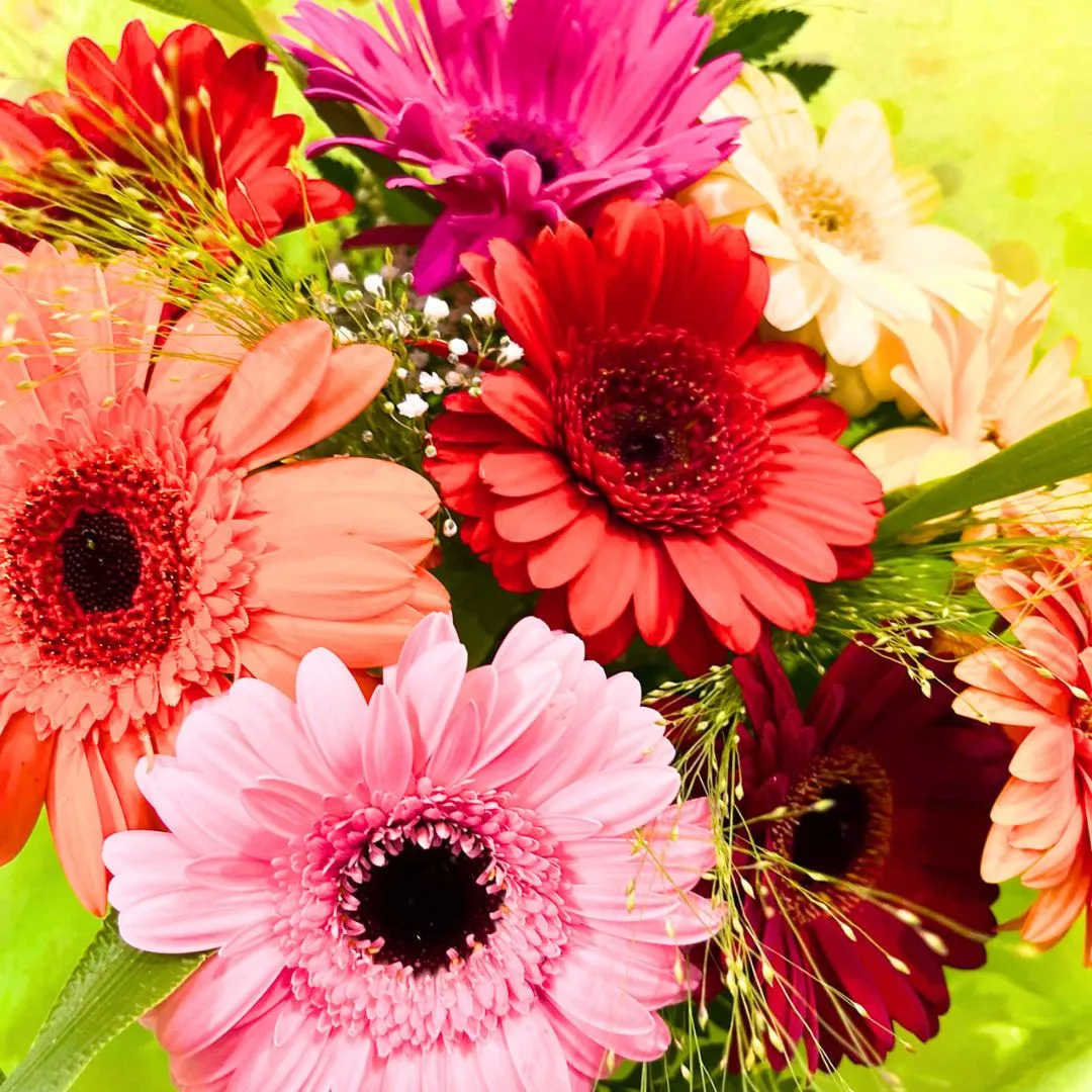 Bouquet Arcobaleno con Germini colorati - immagine 2