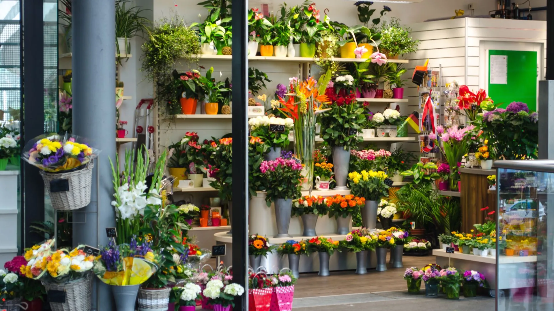 clienti dei fioristi acquistare fiori e piante