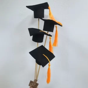pick cappello di laurea